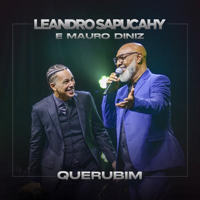 Querubim (Ao Vivo) By Leandro Sapucahy, Mauro Diniz's cover