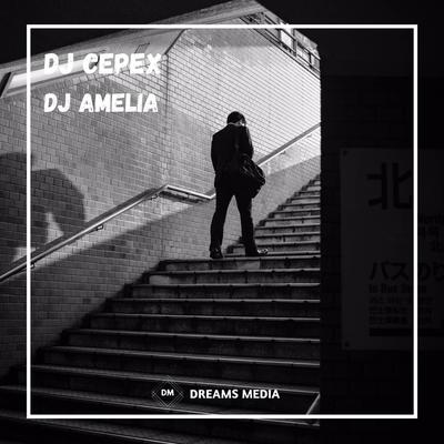 DJ Amelia slow's cover