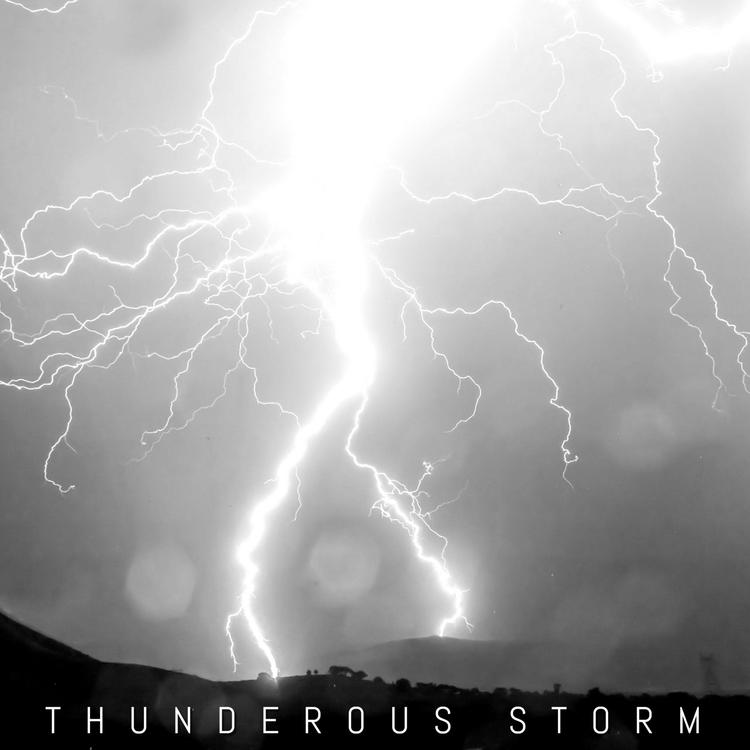 Thunderous Storm's avatar image