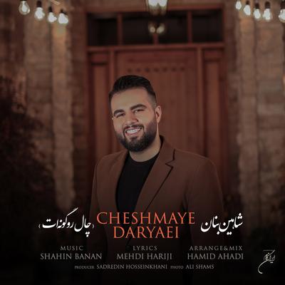 Cheshmaye Daryaei: Chale Roo Goonat By Shahin Banan's cover
