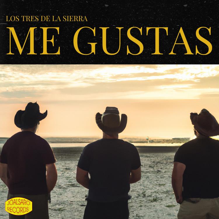 Los Tres De La Sierra's avatar image