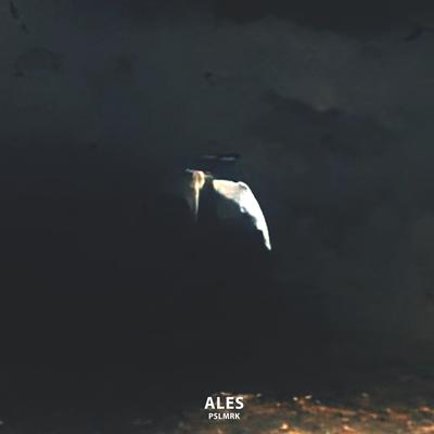 Ales By Pslmrk's cover