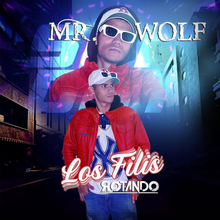 Mr Wolf's avatar image
