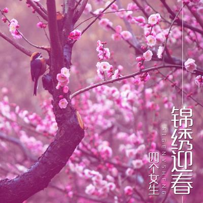 锦绣迎春 (翻唱)'s cover