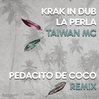 Pedacito De Coco (Remix)'s cover