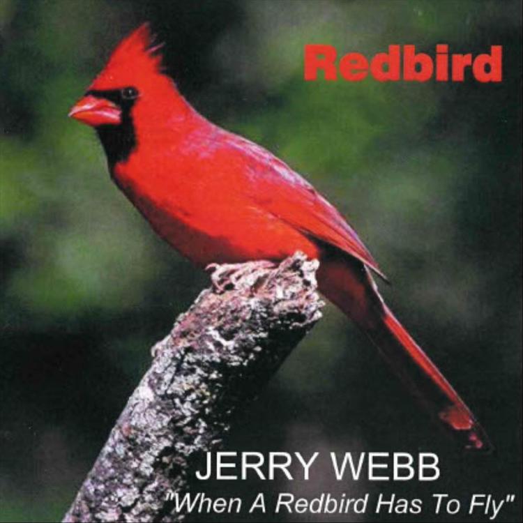 Jerry Webb's avatar image