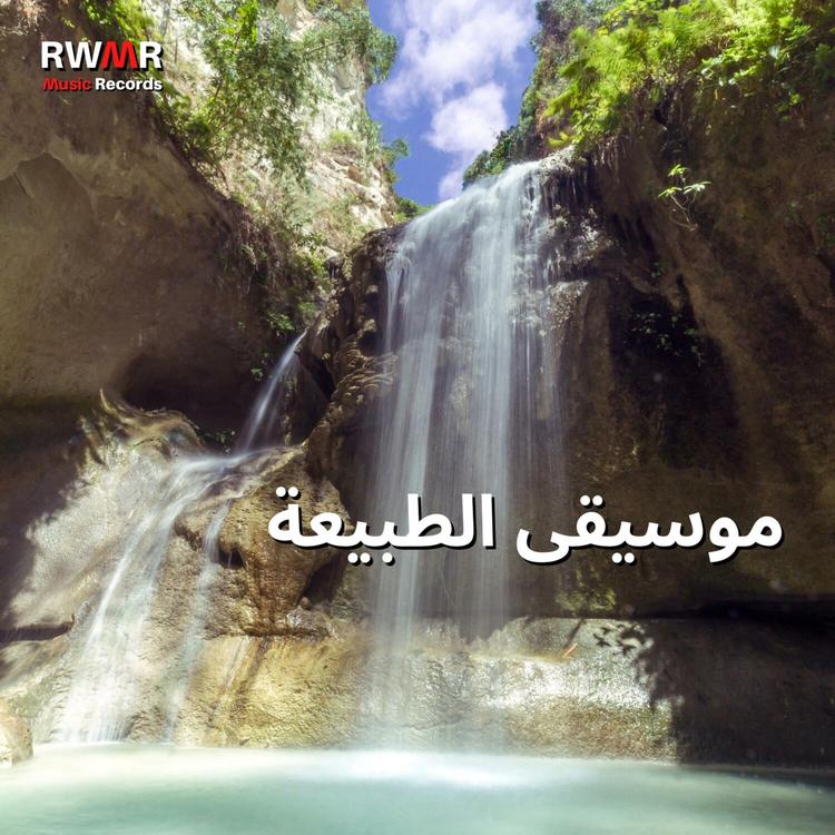 RW ألحان سلمية's avatar image