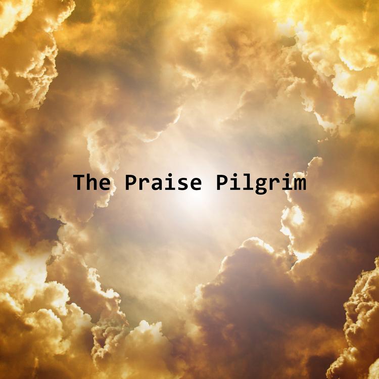 THE PRAISE PILGRIM's avatar image