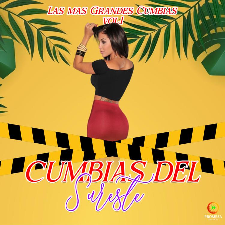 Cumbias Del Sureste's avatar image