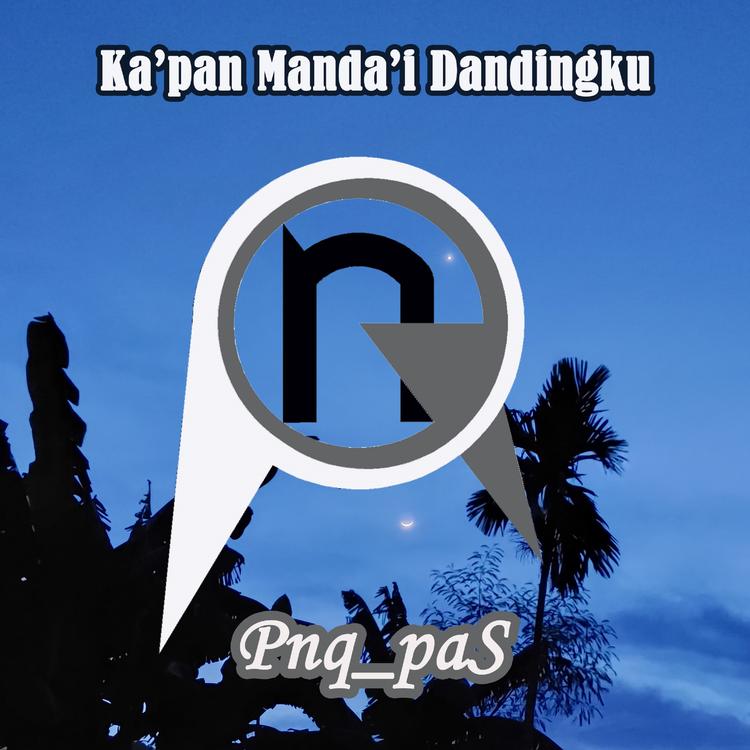 Pnq_paS's avatar image