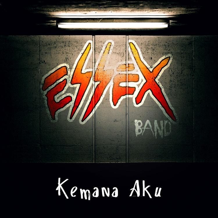 Essex Band's avatar image