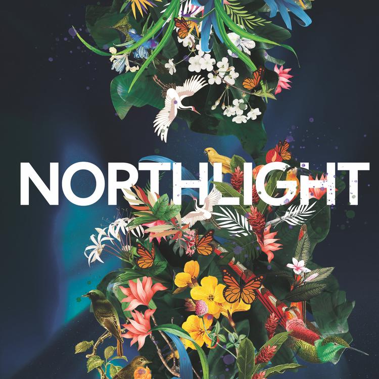 Northlight's avatar image