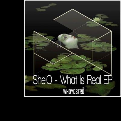 Cardboard Paper (Original Mix) By ShelO, Wreckage's cover