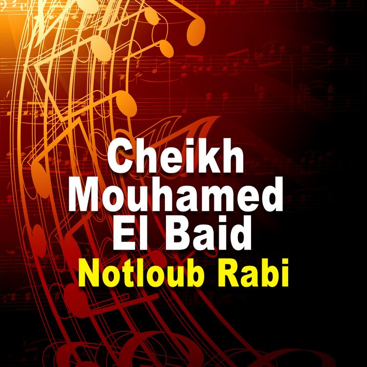 Cheikh Mouhamed El Baid's avatar image