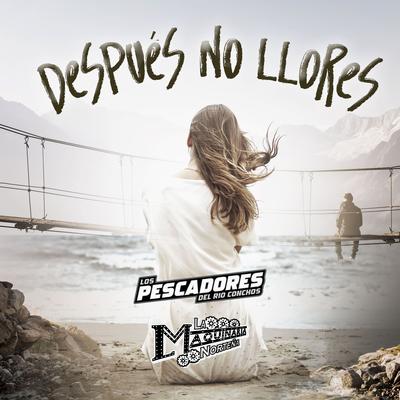 Después No Llores By Los Pescadores Del Rio Conchos, La Maquinaria Norteña's cover