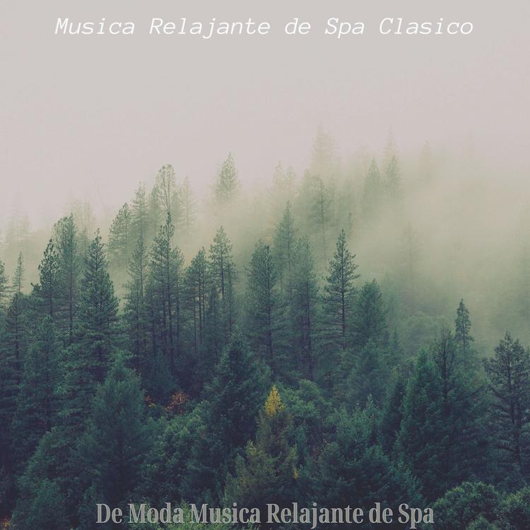 Musica Relajante de Spa Clasico's avatar image