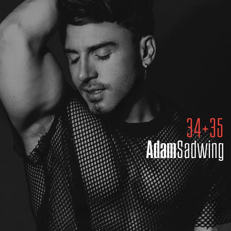 ADAM SADWING's avatar image