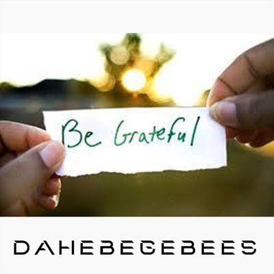 Dahebegebees's cover