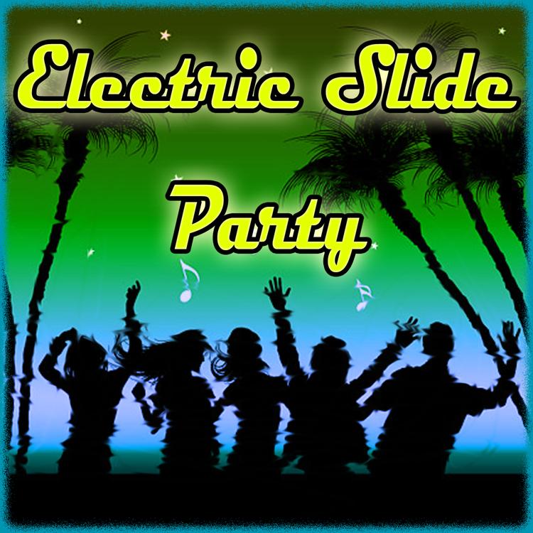 Electric Slide Party's avatar image