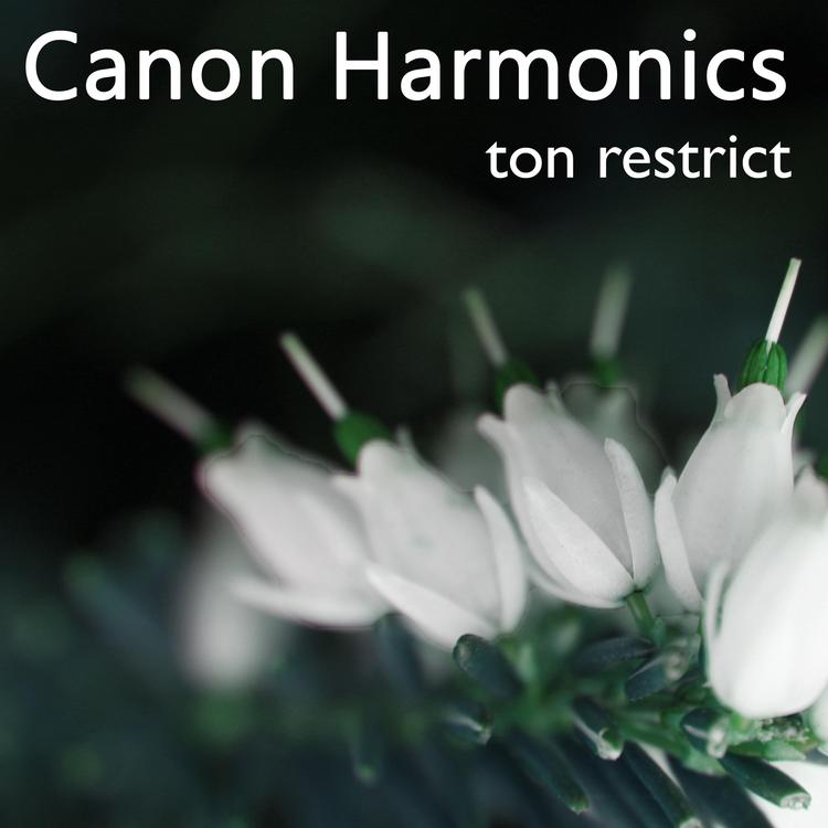 Canon Harmonics's avatar image