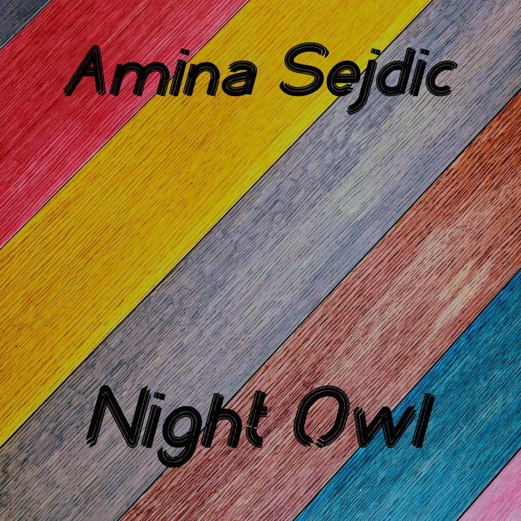 Amina Sejdic's avatar image