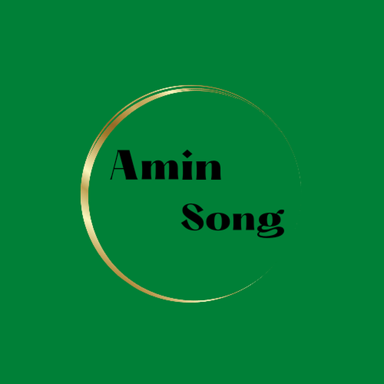 Amin Song's avatar image