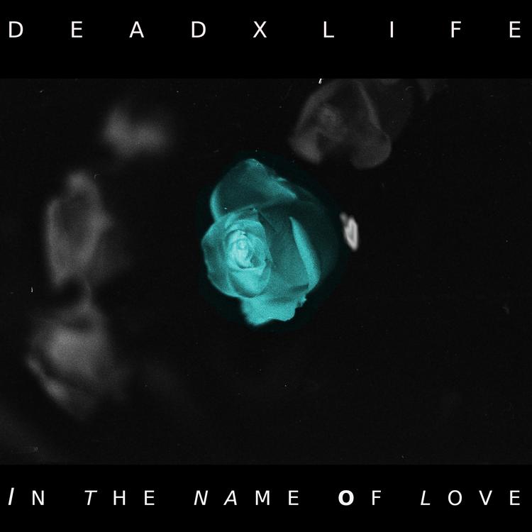 DeadXLife's avatar image