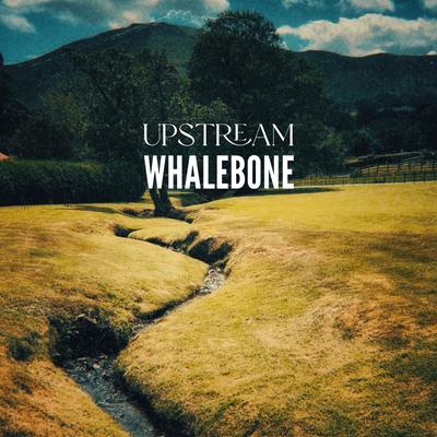 Upstream By Whalebone's cover