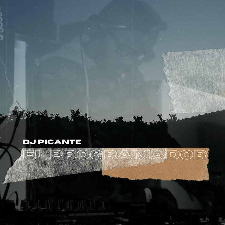DJ Picante's avatar image