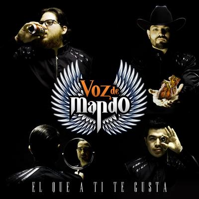 El Que a Ti Te Gusta By Voz De Mando's cover