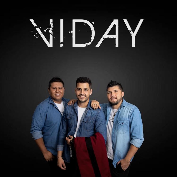 Viday's avatar image