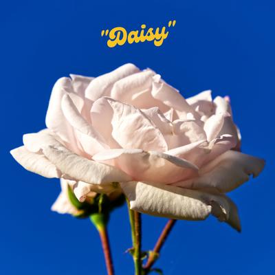 Daisy By Delorians's cover