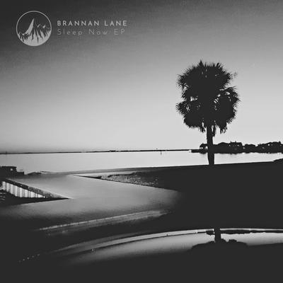 Sleep Now By Brannan Lane's cover