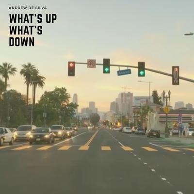 What's Up What's Down By Andrew De Silva's cover