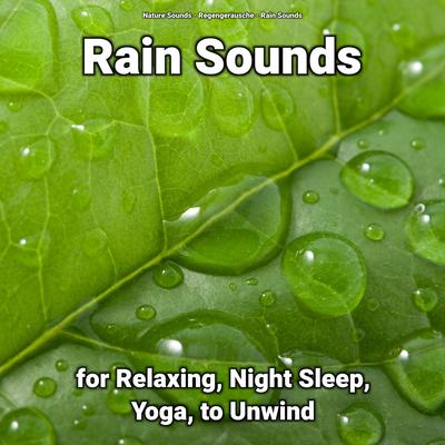 Rain Sounds to Study To's cover