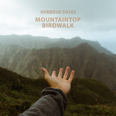 Mountaintop Birdwalk By Overdue Soles's cover