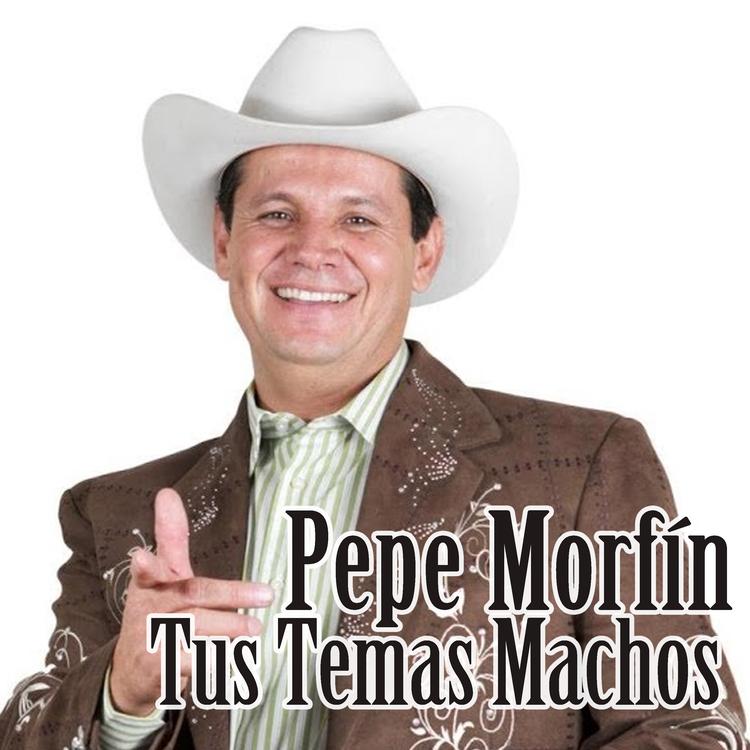Pepe Morfín's avatar image