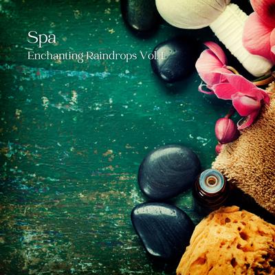 Rain Music for Sleep and Contemplation By Amazing Spa Music, Granular Soundscape, White Noise Healing Center's cover