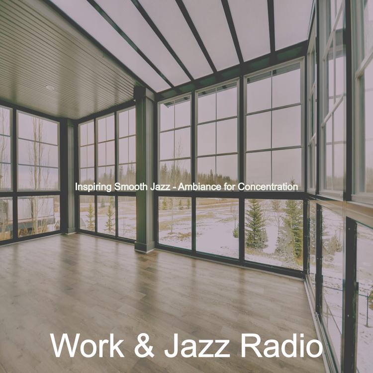 Work & Jazz Radio's avatar image