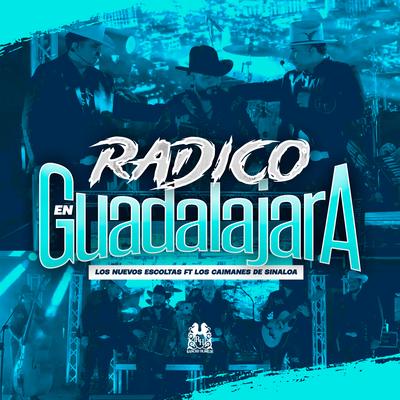 Radico En Guadalajara (feat. Los Caimanes De Sinaloa)'s cover