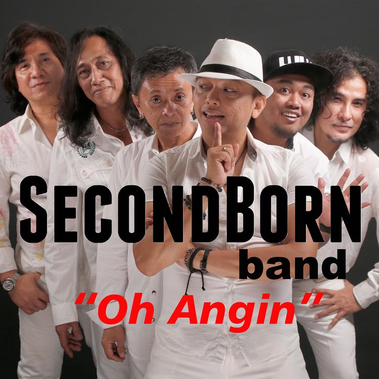 Secondborn band's avatar image