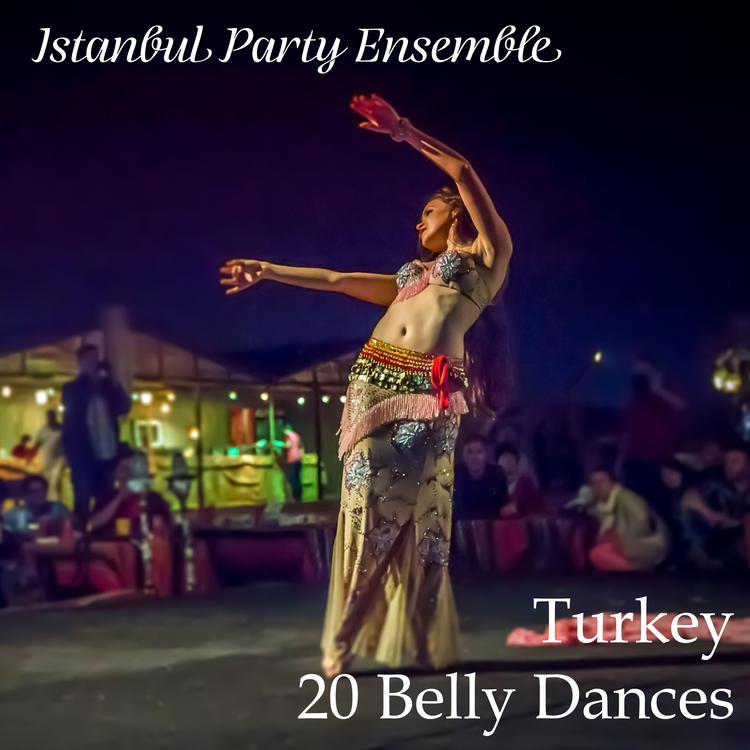 Istanbul Party Ensemble's avatar image
