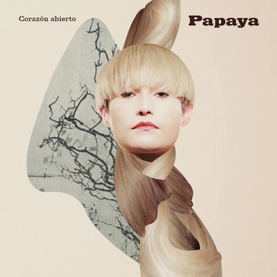 Zapatitos de Cristal By Papaya's cover