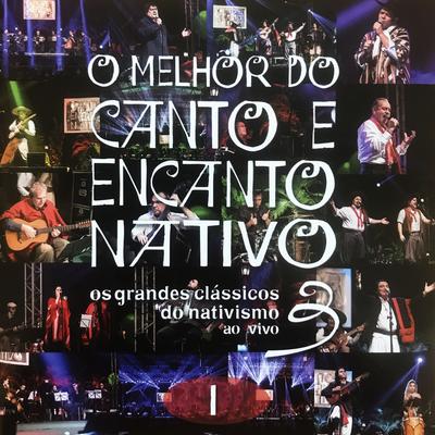 O Sul É Meu País (Ao Vivo) By César Oliveira & Rogério Melo's cover
