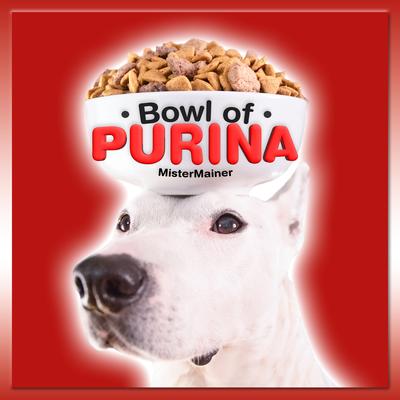 Bowl of Purina (Sped Up) By MisterMainer's cover