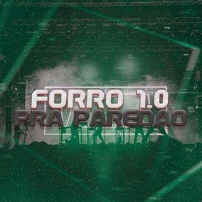 Forró 1.0 pra Paredão By JM Remix's cover