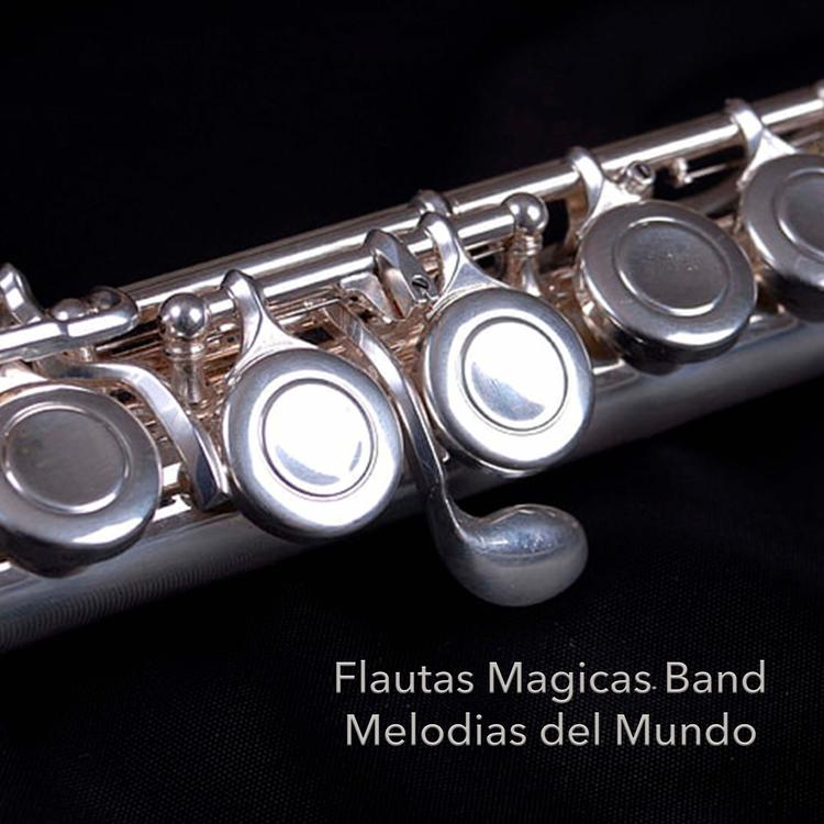 Flautas Magicas Band's avatar image