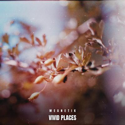 Vivid Places By Meanetik's cover