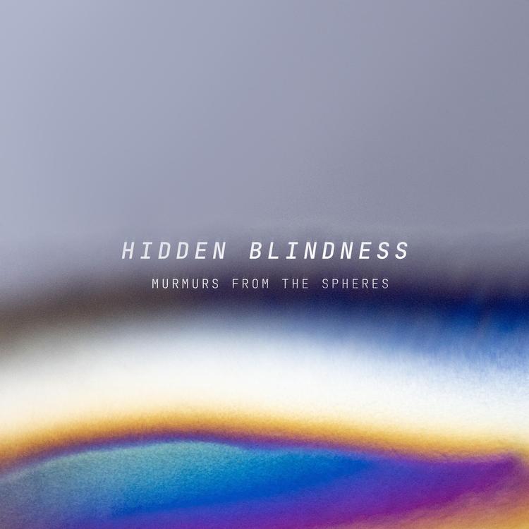 Hidden Blindness's avatar image