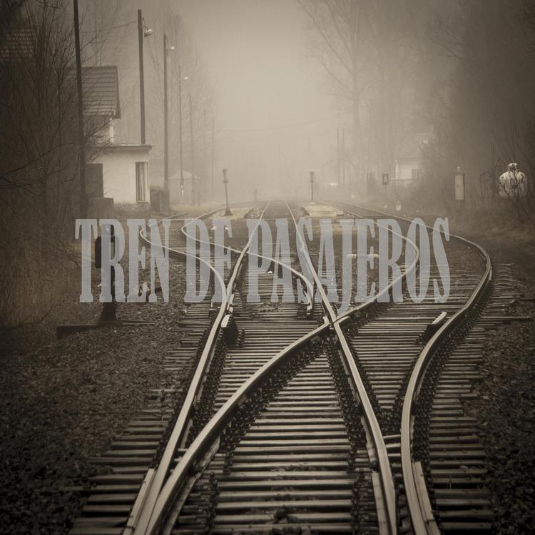 TREN DE PASAJEROS's avatar image